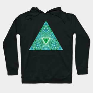 Lifeforms | Ancient geometry Hoodie